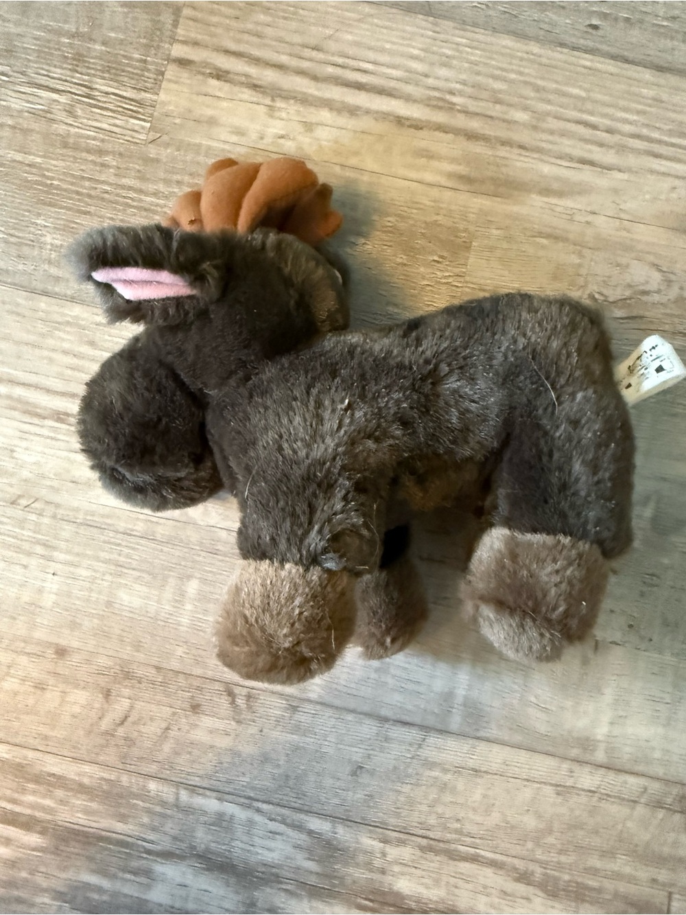 The Aurora Brown Tan Moose Plush Stuffed Animal